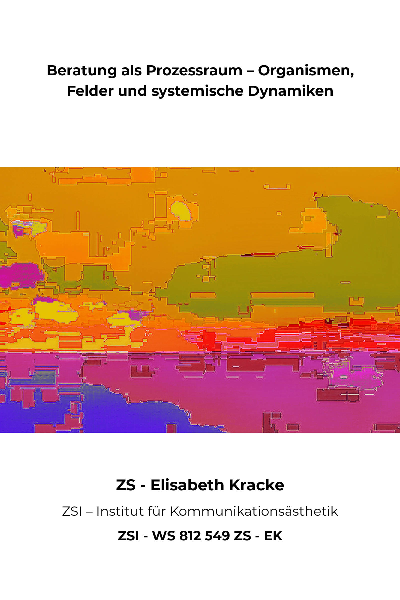 Buchcover ZSI Buchfeld